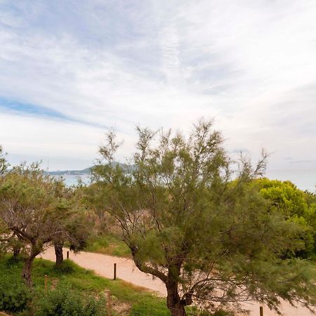 Iberostar Selection Albufera Park All Inclusive Playa de Muro  Esterno foto
