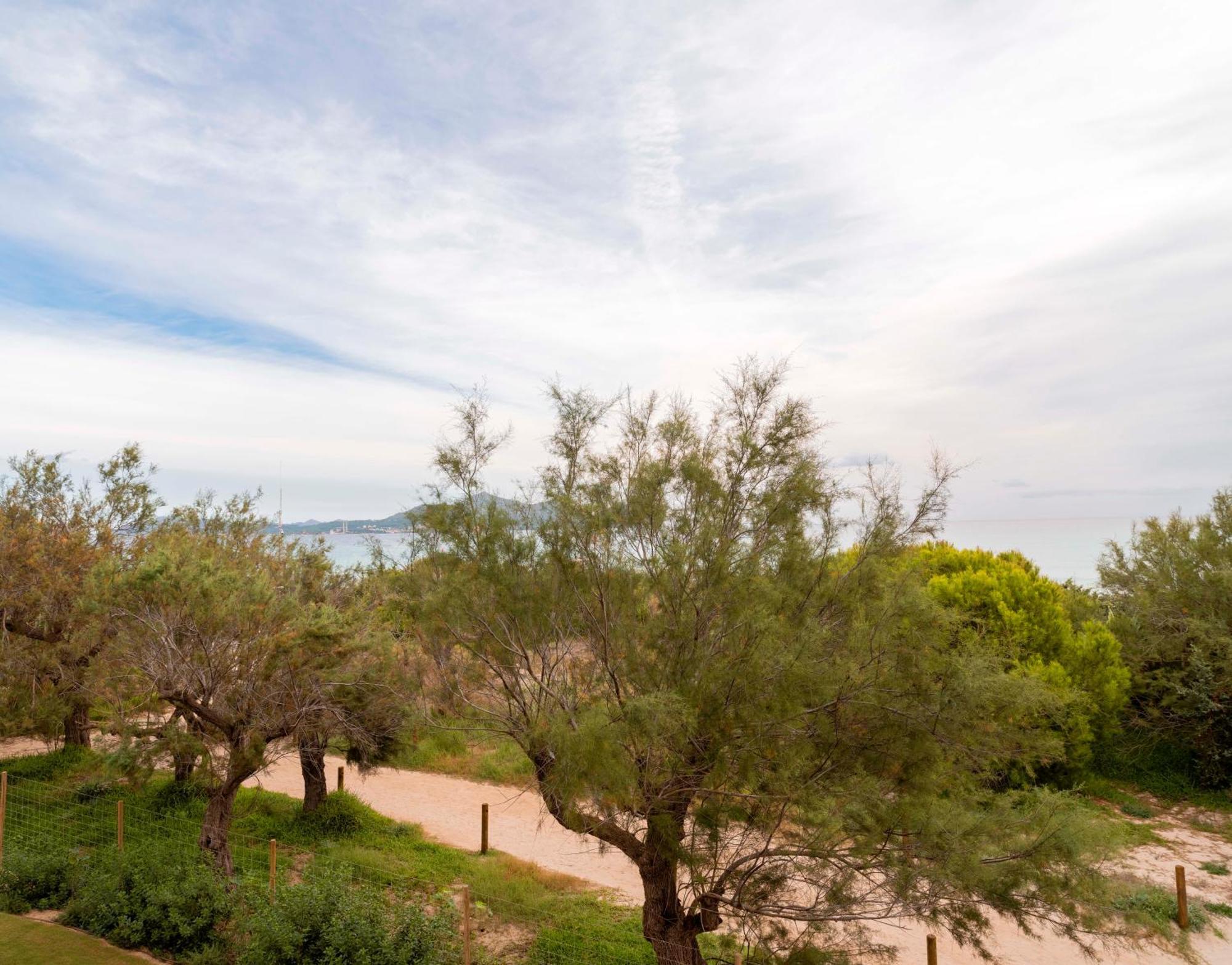 Iberostar Selection Albufera Park All Inclusive Playa de Muro  Esterno foto